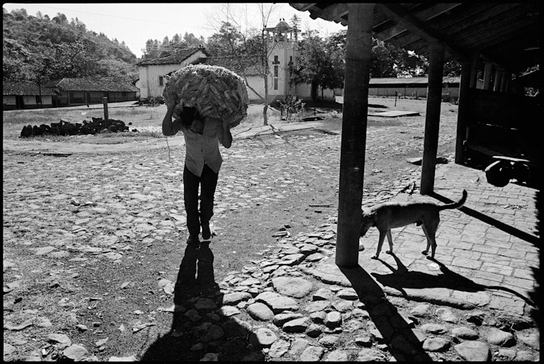 image description